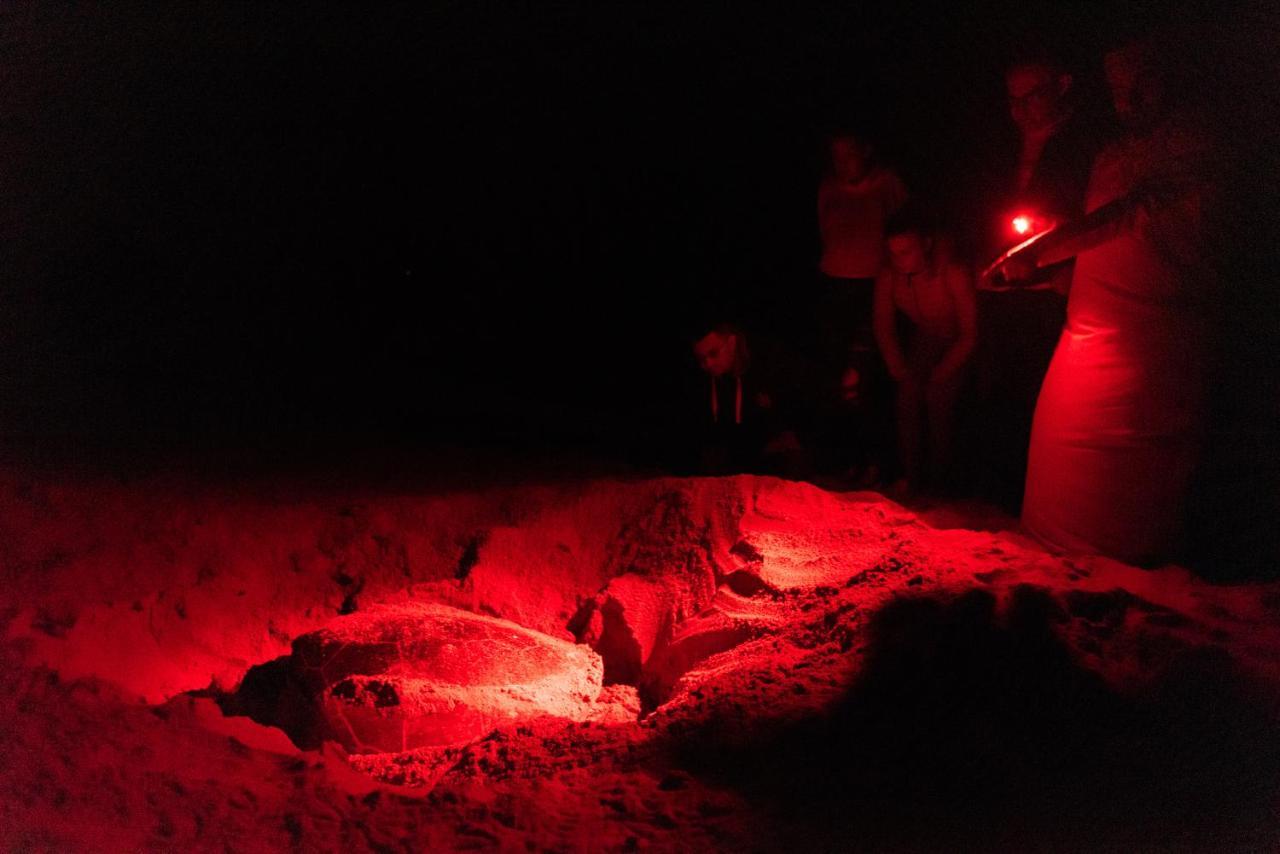 Ras Al Jinz Turtle Reserve Al Hadd Exteriör bild