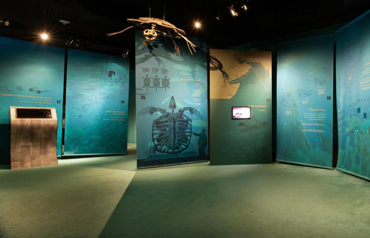 Ras Al Jinz Turtle Reserve Al Hadd Exteriör bild